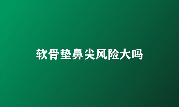 软骨垫鼻尖风险大吗
