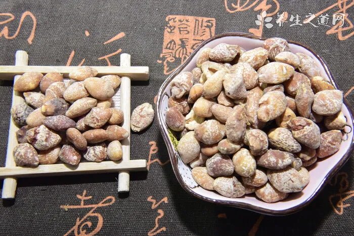 青岛海产博物馆