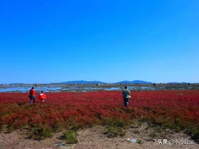 8月份从长春去兴城开车多久,本地游玩攻略有什么?