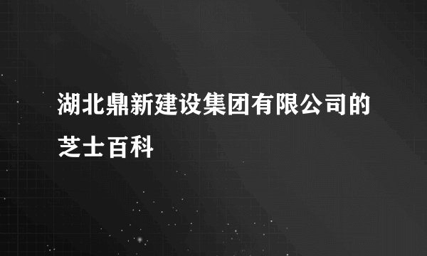 湖北鼎新建设集团有限公司的芝士百科