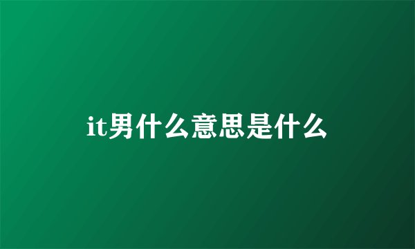 it男什么意思是什么