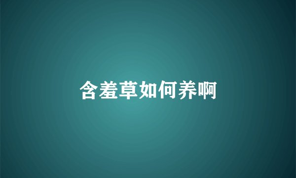 含羞草如何养啊