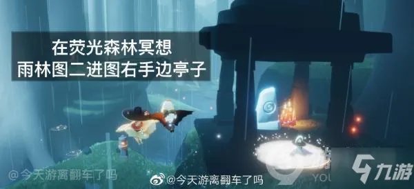 光遇在荧光森林冥想攻略 坐标详细介绍