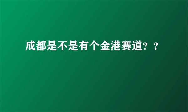 成都是不是有个金港赛道？？