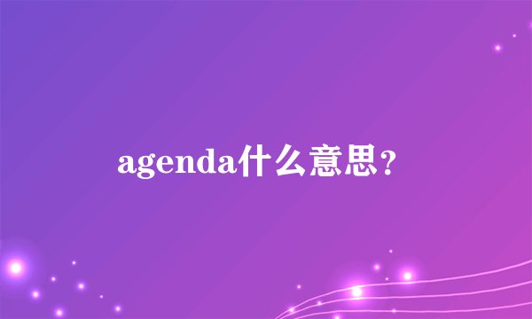 agenda什么意思?