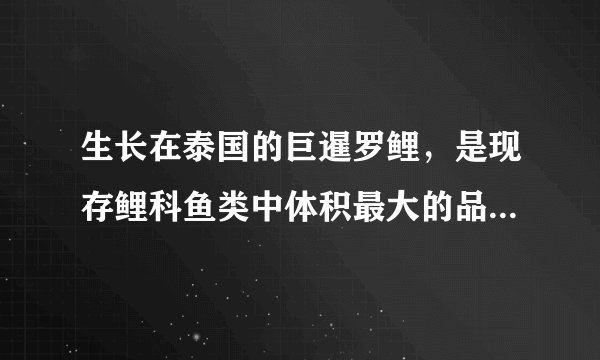 生长在泰国的巨暹罗鲤,是现存鲤科鱼类中体积最大的品种.如图所示的巨型暹罗鲤鱼长约为$2m$,质量约为$120kg$,则其体积大约为( )A.$0.012m^{3}$B.$ 0.12m^{3}$C.$ 12m^{3}$D.$ 120m^{3}$