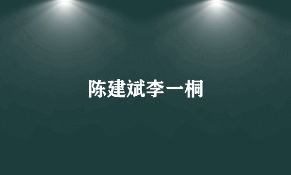 陈建斌李一桐
