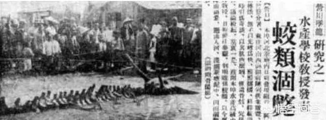 营口坠龙、松花江坠龙，为何历史上有那么多的坠龙事件？