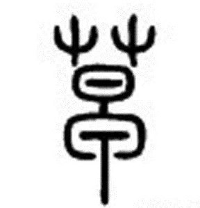 草字旁的字有哪些