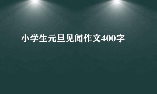 小学生元旦见闻作文400字