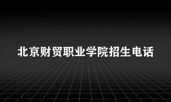 北京财贸职业学院招生电话