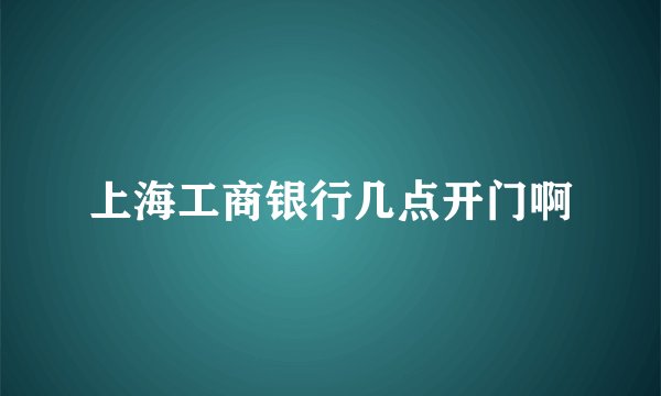 上海工商银行几点开门啊