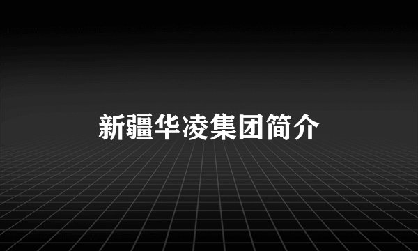 新疆华凌集团简介