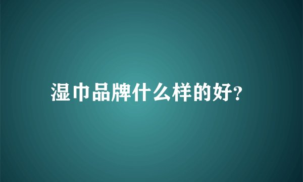 湿巾品牌什么样的好？