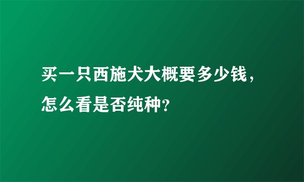 买一只西施犬大概要多少钱，怎么看是否纯种？
