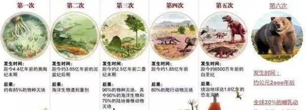 生物界第六次生物大灭绝会在什么时候发生，什么生物会灭绝？