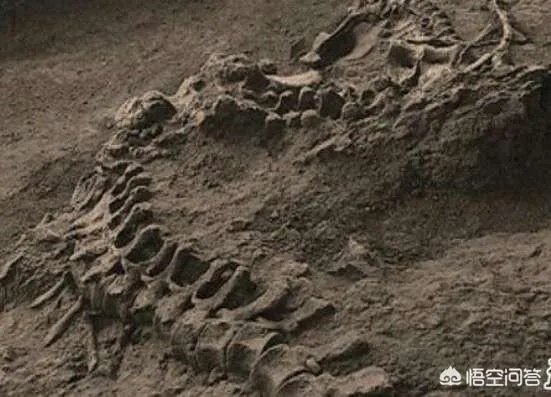 营口坠龙、松花江坠龙,为何历史上有那么多的坠龙事件?