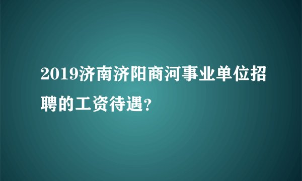 2019济南济阳商河事业单位招聘的工资待遇？