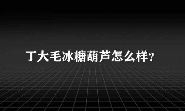 丁大毛冰糖葫芦怎么样？
