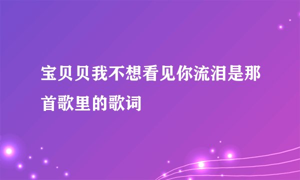 宝贝贝我不想看见你流泪是那首歌里的歌词