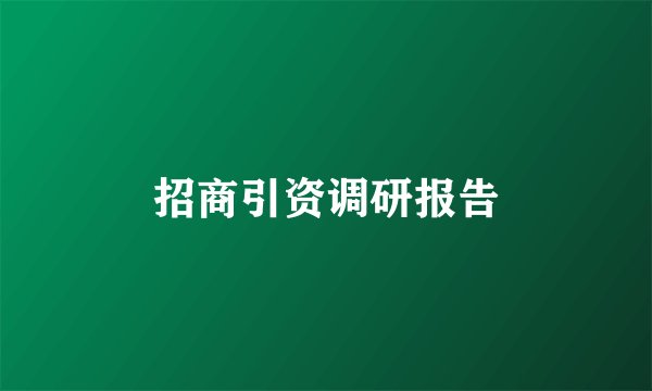 招商引资调研报告