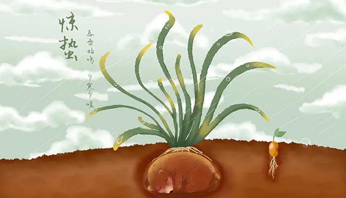 惊蛰节气习俗 惊蛰节气习俗有哪些