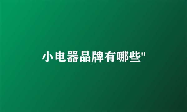 小电器品牌有哪些