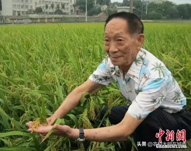 9月7日是袁隆平90岁生日，你想对他说一句什么话呢？