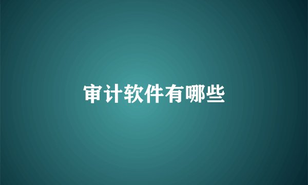 审计软件有哪些