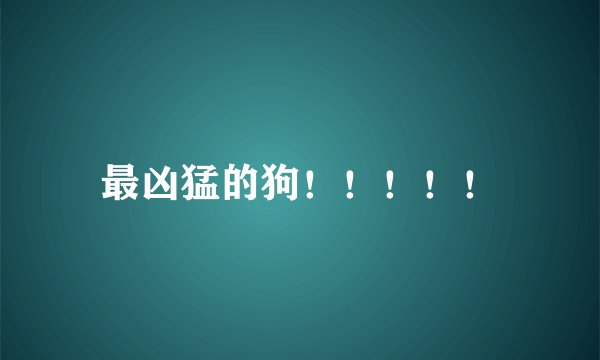 最凶猛的狗！！！！！