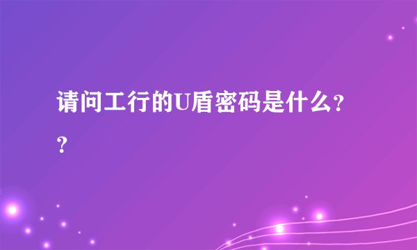 请问工行的U盾密码是什么？？