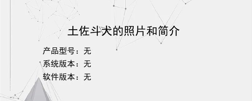 土佐斗犬的照片和简介