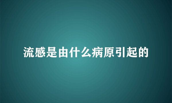 流感是由什么病原引起的