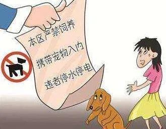 小区养狗物业如何处理