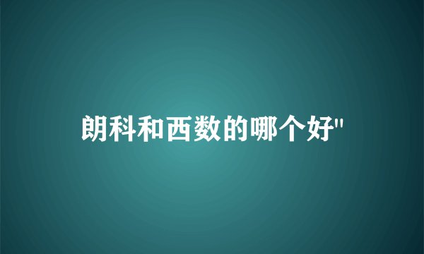 朗科和西数的哪个好