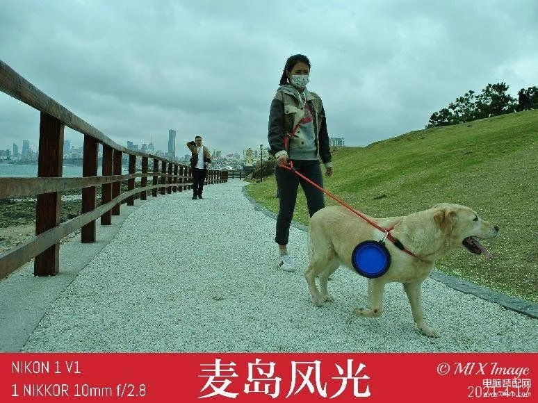 尼康v1怎么样值得购买吗（尼康V1微单在2021年评测）