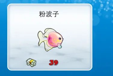 开心水族箱粉波子是什么鱼