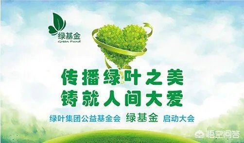 绿叶到底是不是传销？