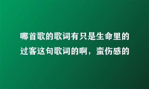 哪首歌的歌词有只是生命里的过客这句歌词的啊,蛮伤感的
