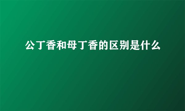 公丁香和母丁香的区别是什么