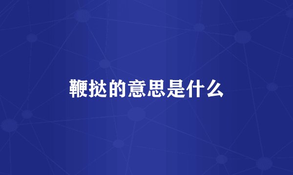 鞭挞的意思是什么