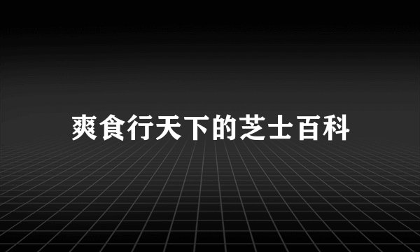 爽食行天下的芝士百科