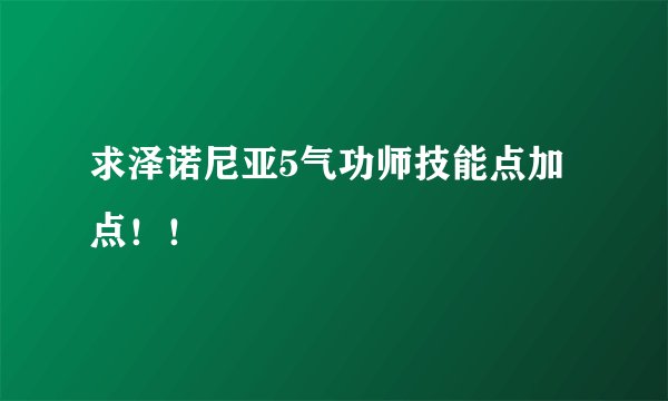 求泽诺尼亚5气功师技能点加点！！