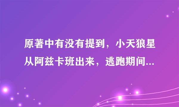 原著中有没有提到，小天狼星从阿兹卡班出来，逃跑期间有魔杖吗？