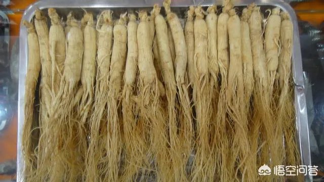 吉林省集安市怎么样?