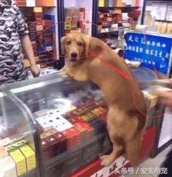 红塔山集团为什么没落了？