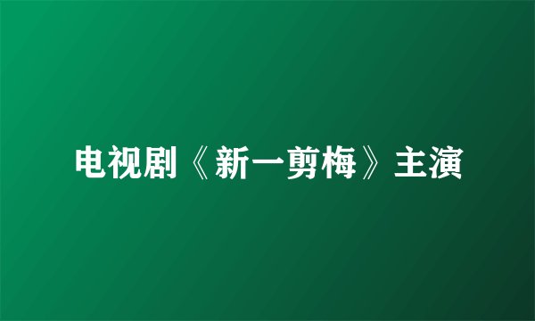 电视剧《新一剪梅》主演