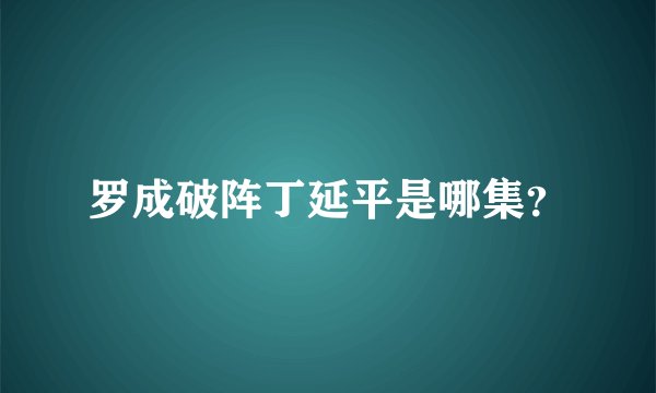 罗成破阵丁延平是哪集？