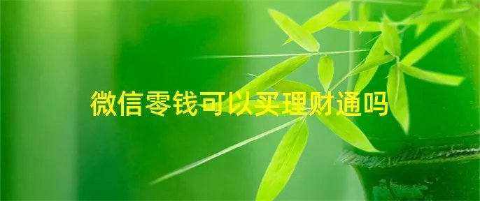 微信零钱可以买理财通吗