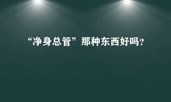 “净身总管”那种东西好吗？